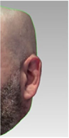 Choose the Right 3D Scanner