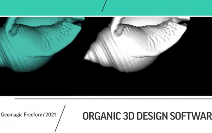 Organic 3D Modeling with Freeform