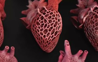 3D-printed hearts